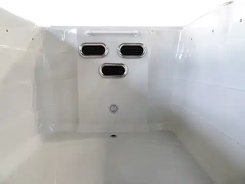 Zelus Swim Spa jets