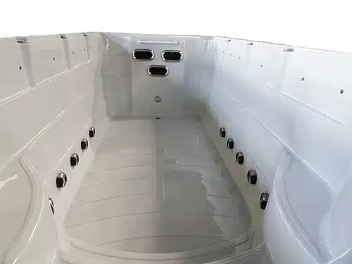Zelus Swim Spa space for 3